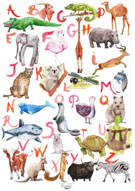alphabet abécédaire poster aquarelle