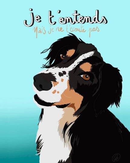 Portrait chien berger australien chat personnalise