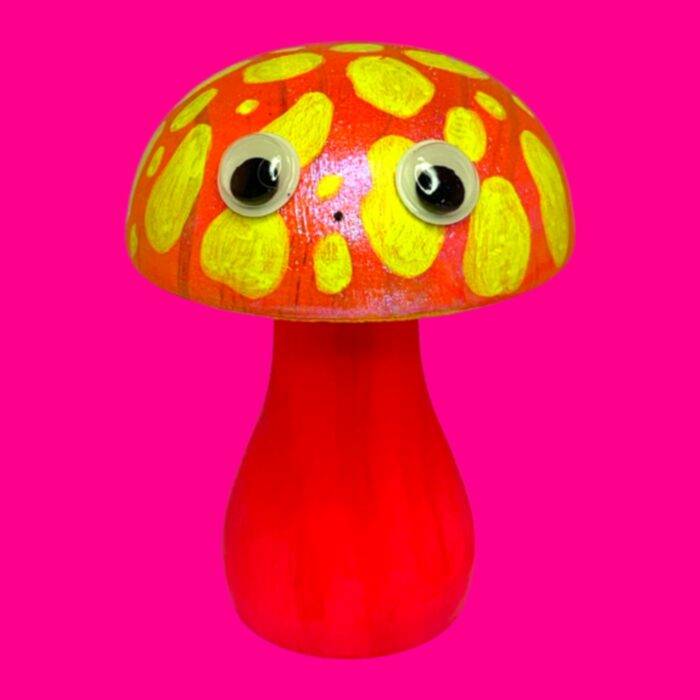 Boite surprise, blindbox, labubu, champignon fluo