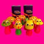 Boite surprise, blindbox, labubu, champignon fluo